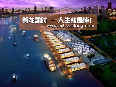 案例展示八(图1)