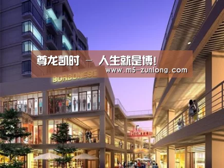 案例展示一