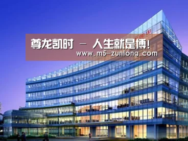 案例展示五